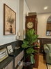 listing thumbnail image 5