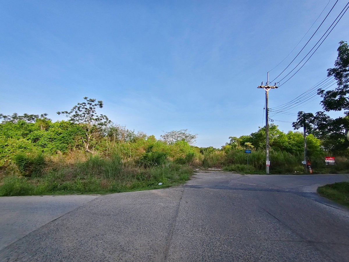 รูป ที่ดินแปลงใหญ่ ที่ดินศักยภาพสำหรับนักลงทุน.ท่าช้าง อ.เมือง จ.จันทบุรี - รูปที่ 6/12