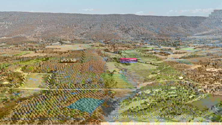 รูป ขายที่ดินเปล่า บ้านบวกปลาหนอน ตีนภูเขา วิวสวย ตำบลเวียงห้าว อำเภอพาน  - รูปที่ 7/12