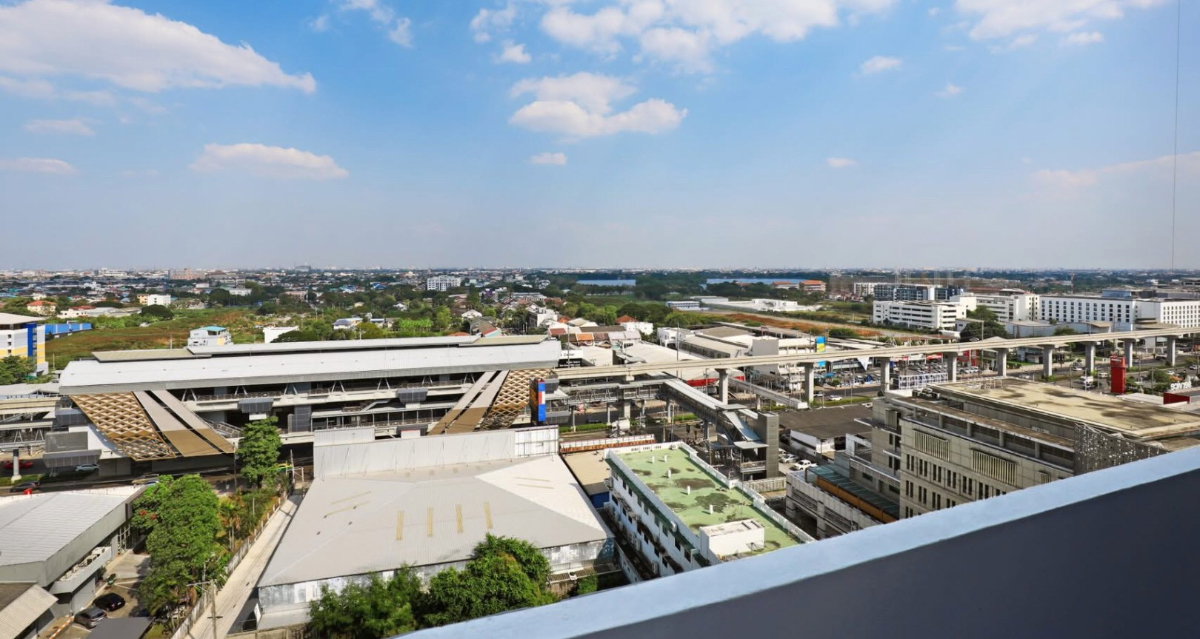 picture The Trio                     Garden  - 13/13