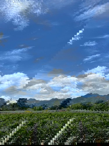 picture Land for sales at Pakchong 26 Rai - 3/4