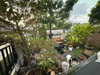 listing thumbnail image 39