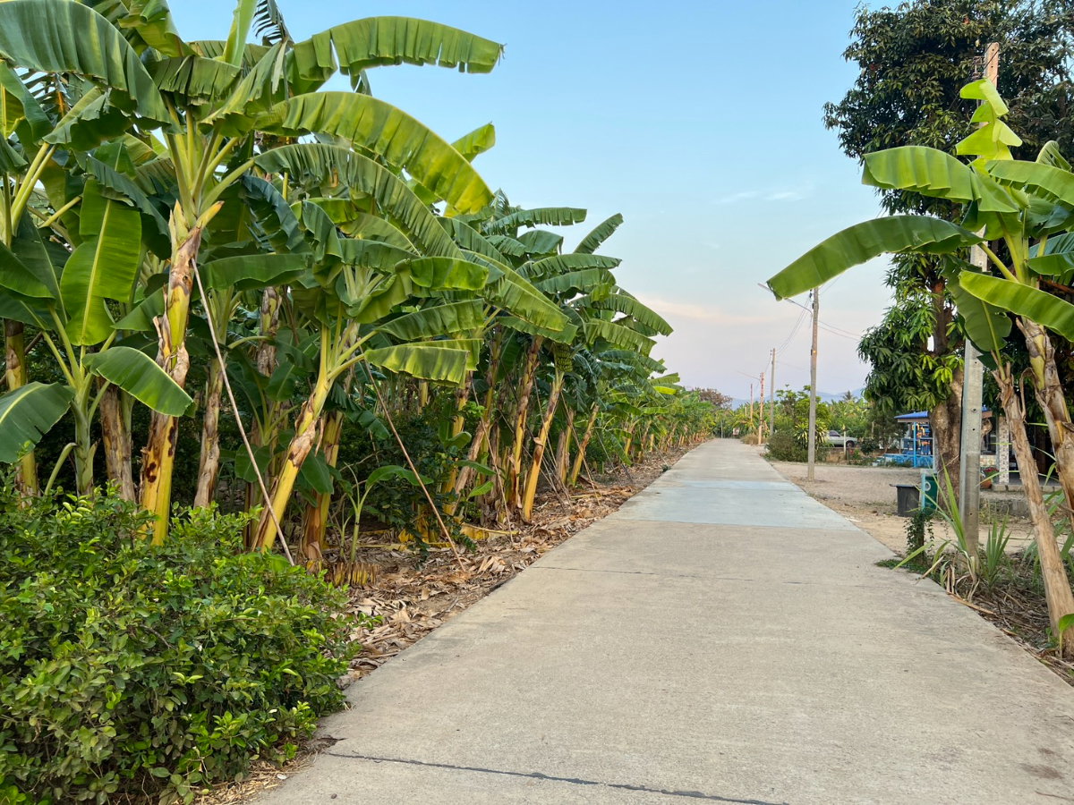 รูป ที่ดิน 7 ไร่ 2 งาน 89 ตารางวา จังหวัดเพชรบุรี ติดถนนทางหลวงแผ่นดิน ราคา 7,000,000 บาท สามารถต่อรองได้ - รูปที่ 4/20