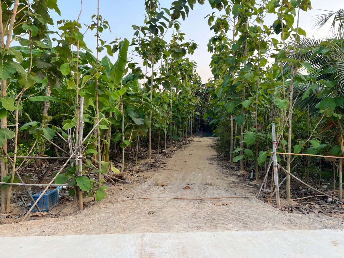 รูป ที่ดิน 7 ไร่ 2 งาน 89 ตารางวา จังหวัดเพชรบุรี ติดถนนทางหลวงแผ่นดิน ราคา 7,000,000 บาท สามารถต่อรองได้ - รูปที่ 18/20