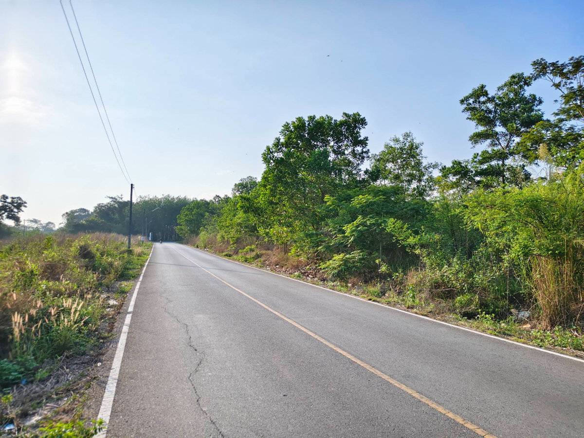 รูป ที่ดินแปลงใหญ่ ที่ดินศักยภาพสำหรับนักลงทุน.ท่าช้าง อ.เมือง จ.จันทบุรี - รูปที่ 10/12