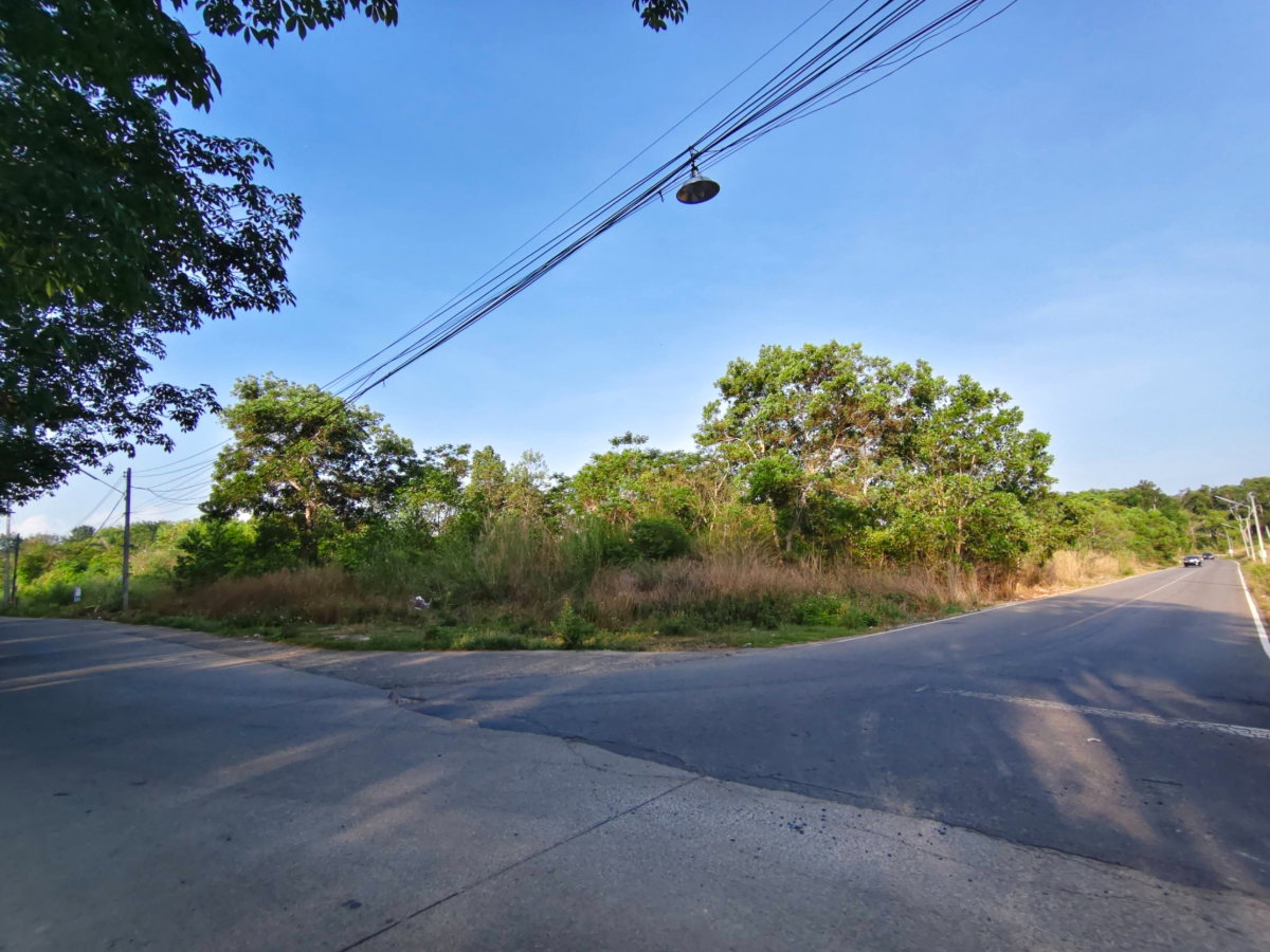 รูป ที่ดินแปลงใหญ่ ที่ดินศักยภาพสำหรับนักลงทุน.ท่าช้าง อ.เมือง จ.จันทบุรี - รูปที่ 9/12