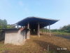 listing thumbnail image 23