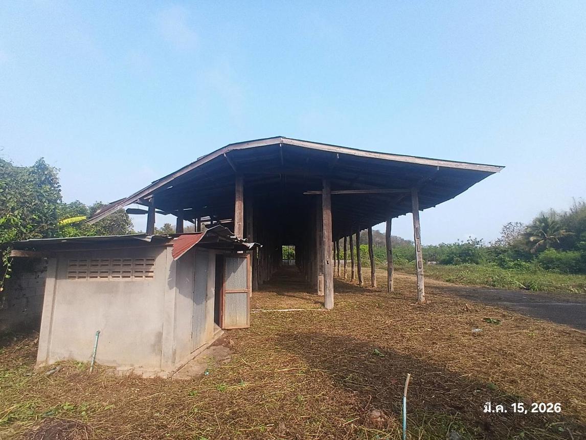 รูป บ้านเดี่ยว 5065 ตร.วา บ้านโฮ่ง ลำพูน 10M - รูปที่ 24/46