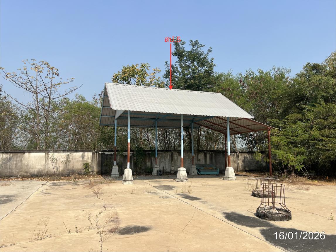 picture LAND 9600 Sq.w. Kao Lieo Nakhon Sawan for 12.6M - 37/46