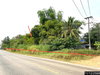 listing thumbnail image 44