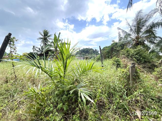 picture FACTORY 3056 Sq.w. Chaiya Surat Thani for 2.1M - 8/20