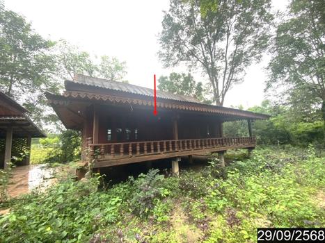 picture HOME 1023 Sq.w. Tha Bo Nongkai for 2.7M - 27/30
