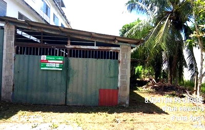 โรงงาน ตรัง : เพิงอเนกประสงค์ 66.7 ตร.วา รัษฎา ตรัง 2.1M