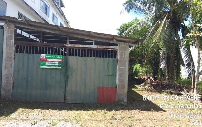 รูป เพิงอเนกประสงค์ 66.7 ตร.วา รัษฎา ตรัง 2.5M - รูปที่ 1/14