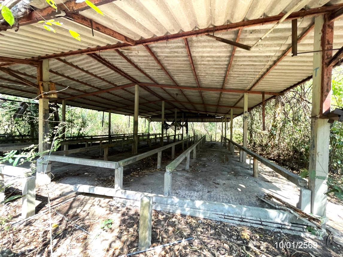 picture LAND 12644 Sq.w. Ko Chan Chonburi for 14.6M - 40/44