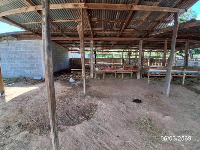 picture HOME 678.7 Sq.w. Nong Phok Roi Et for 5.5M - 13/32