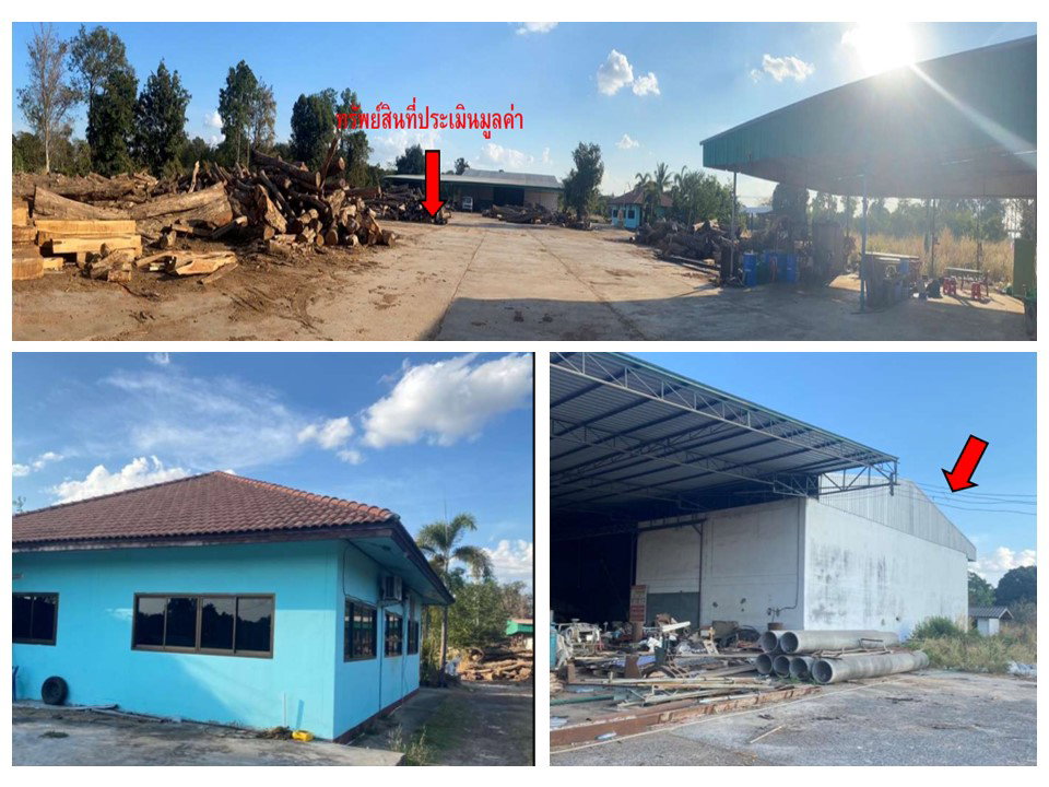 picture LAND 6821.2 Sq.w. Pa Tiu Yasothon for 16.8M - 2/6