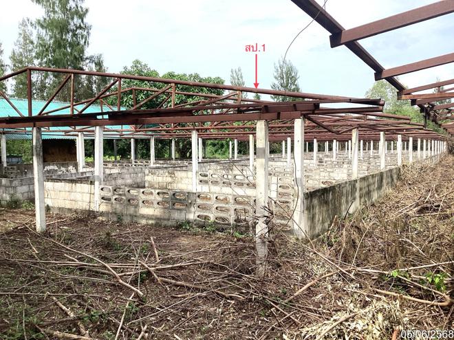 รูป ฟาร์ม 910.1 ตร.วา แก่งกระจาน เพชรบุรี 1.5M - รูปที่ 3/24