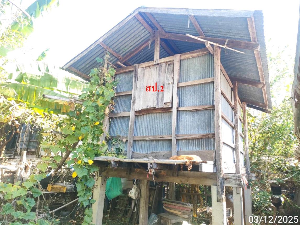 รูป บ้านเดี่ยว 69 ตร.วา จตุรพักตรพิมาน ร้อยเอ็ด 622,000 - รูปที่ 21/28