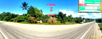 Houses for sale Narathiwat : HOME 538 Sq.w. Chanae Narathiwat for 8.6M