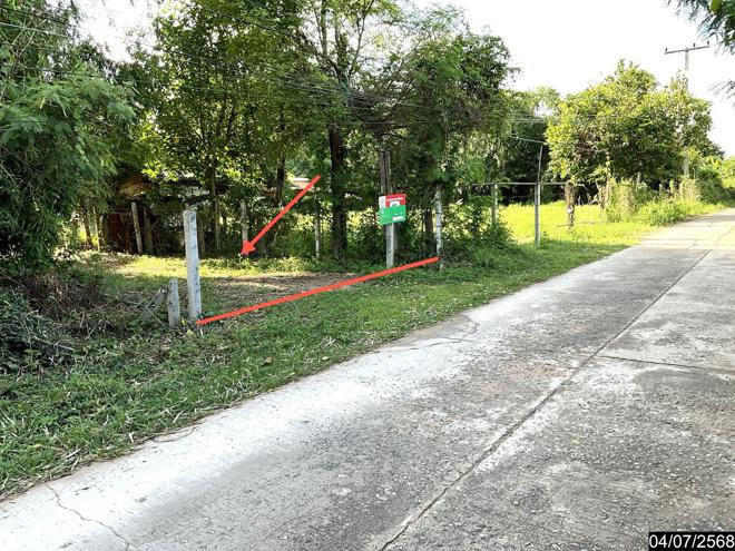 picture HOME 1049 Sq.w. Yang Talat Kalasin for 1.4M - 10/24