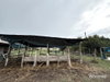 listing thumbnail image 28