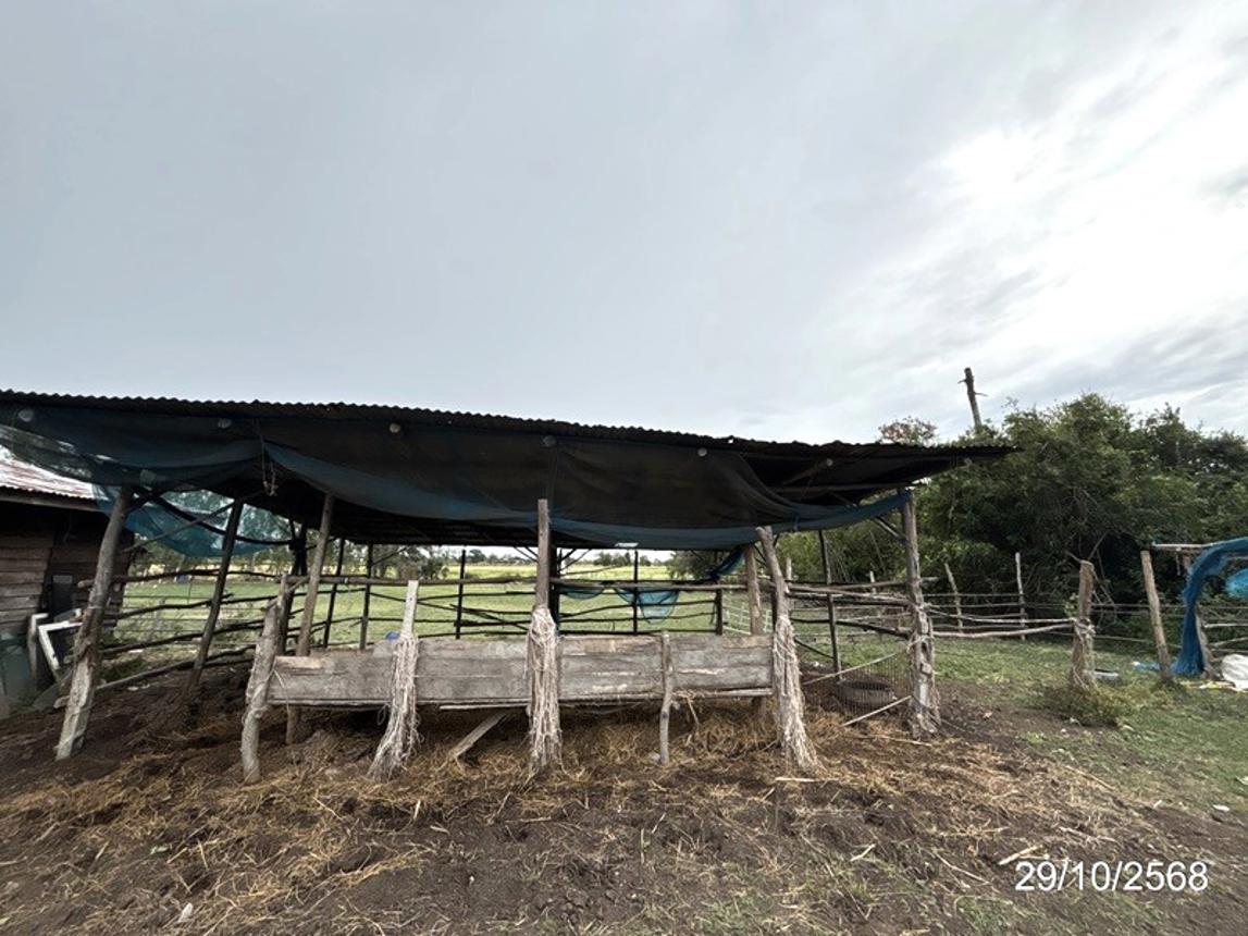 รูป บ้านเดี่ยว 1140 ตร.วา ชุมพลบุรี สุรินทร์ 1.8M - รูปที่ 29/34