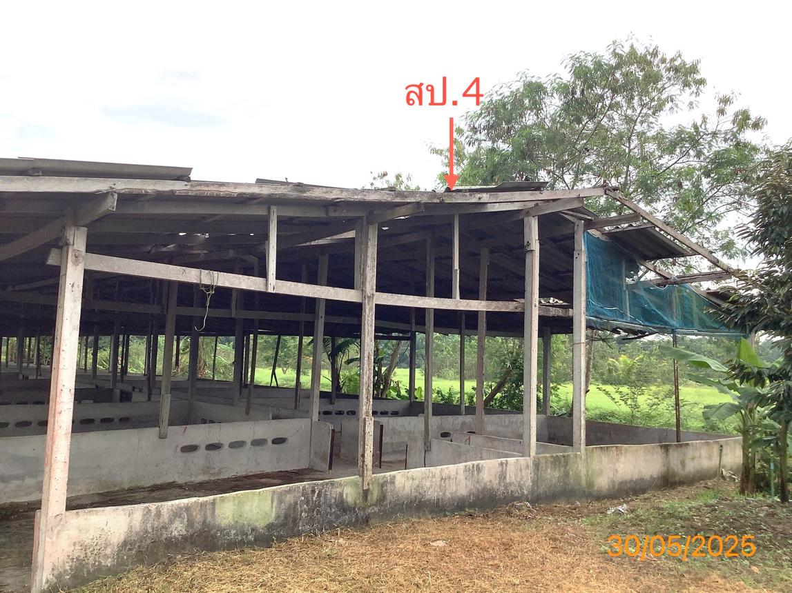 picture LAND 3649 Sq.w. Chalermphrakiet Nakhon Sri Thammarat for 9.9M - 30/38