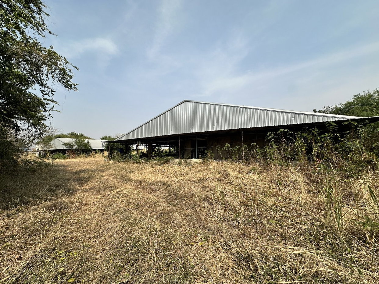 picture LAND 7004 Sq.w. Takhli Nakhon Sawan for 4.4M - 9/11