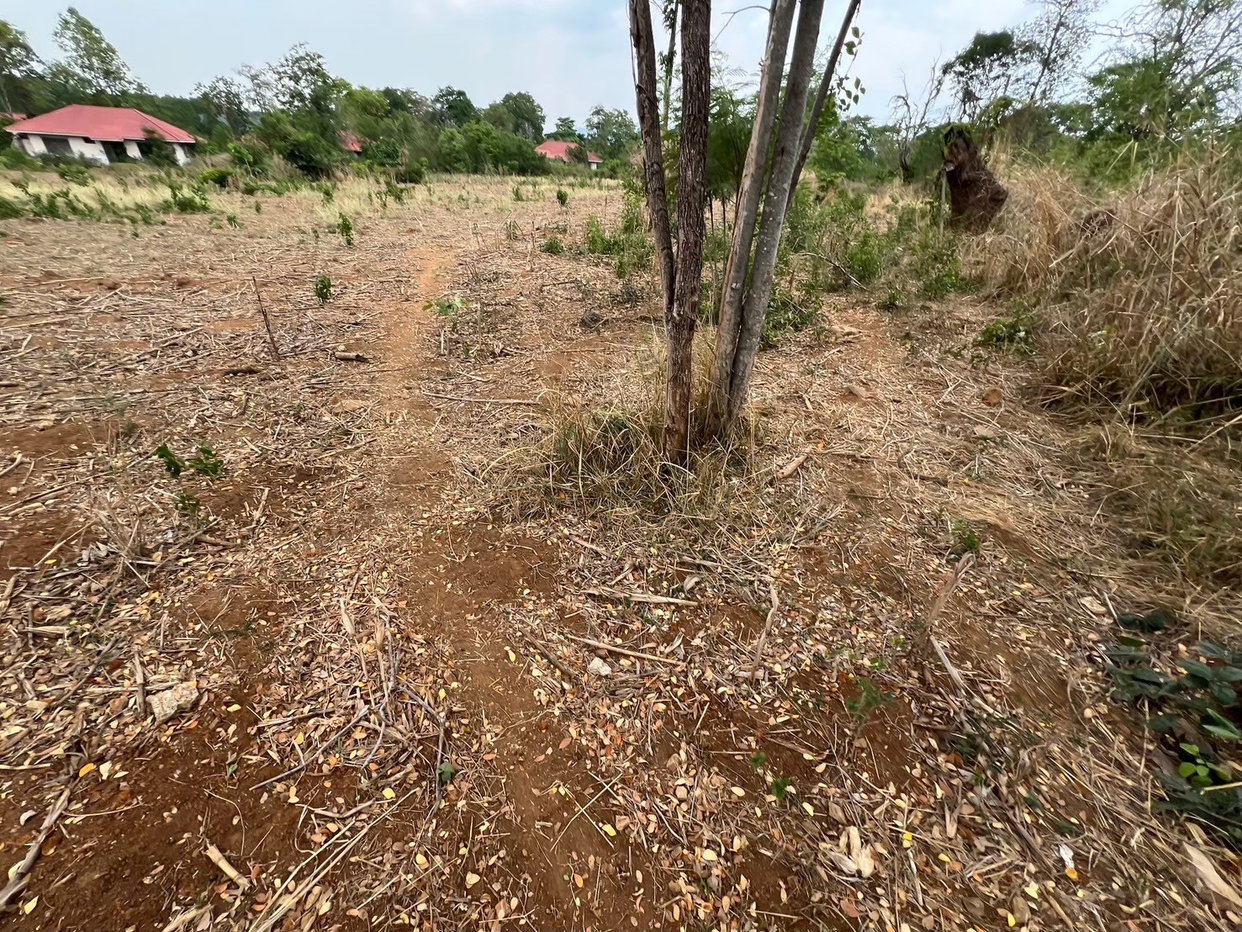 รูป ที่ดินพร้อมสิ่งปลูกสร้าง 9554 ตร.วา อำเภอมวกเหล็ก สระบุรี 74.4M - รูปที่ 10/26