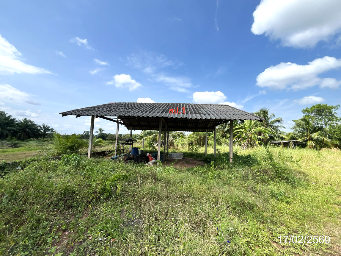 picture FACTORY 3056 Sq.w. Chaiya Surat Thani for 2.1M - 10/20