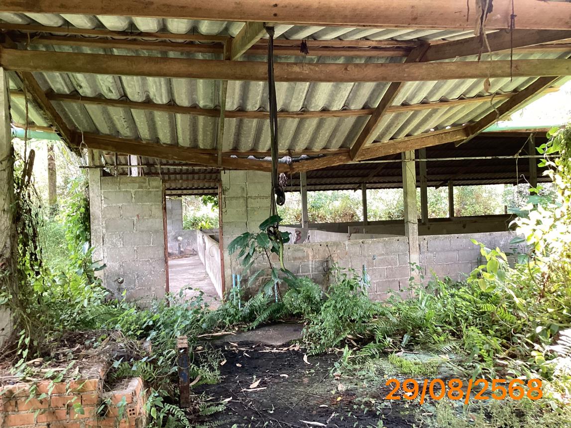 picture LAND 2165 Sq.w. Kapong Phangnga for 4M - 28/36