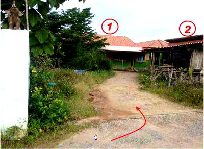 Land for sale Chiang Mai : LAND 223.4 Sq.w. Chai Prakarn Chiang Mai for 1.3M