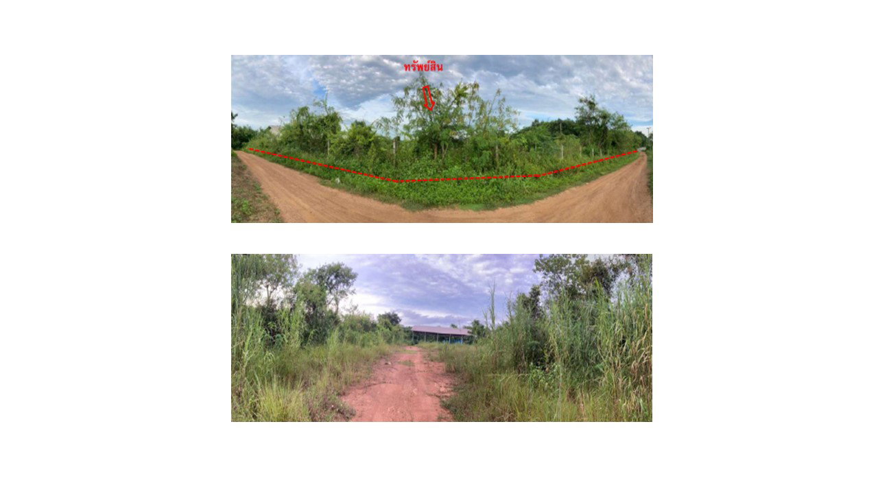 picture LAND 5326 Sq.w. Na Duang Loei for 3.7M - 1/4