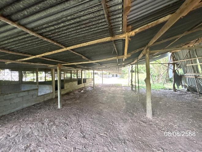 รูป บ้านเดี่ยว 623 ตร.วา ศรีณรงค์ สุรินทร์ 859,000 - รูปที่ 12/32