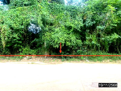 HOME 14725.3 Sq.w. Muang Kalasin Kalasin for 28.4M