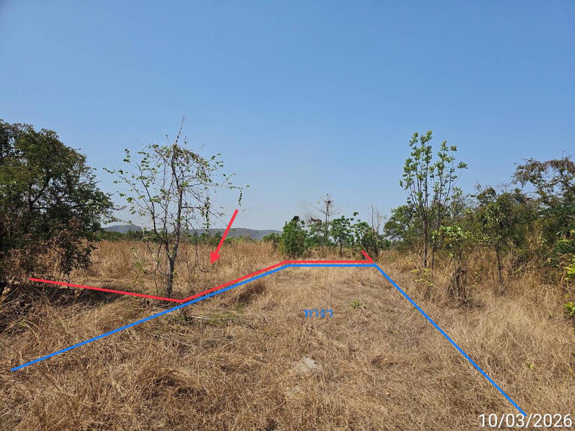 รูป ที่ดินว่างเปล่า 1811 ตร.วา ชนแดน เพชรบูรณ์ 1.4M - รูปที่ 10/16