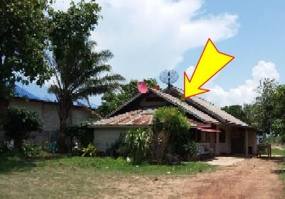 บ้านเดี่ยว 733 ตร.วา กาฬสินธุ์ กมลาไสย กาฬสินธุ์ 2.9M