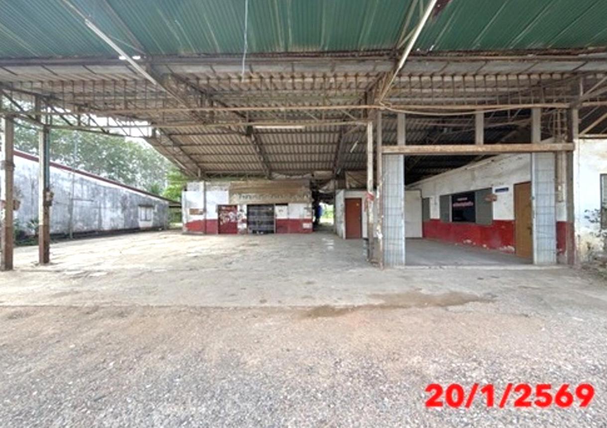 รูป บ้านเดี่ยว 2416 ตร.วา ปะเหลียน ตรัง 21.3M - รูปที่ 50/60