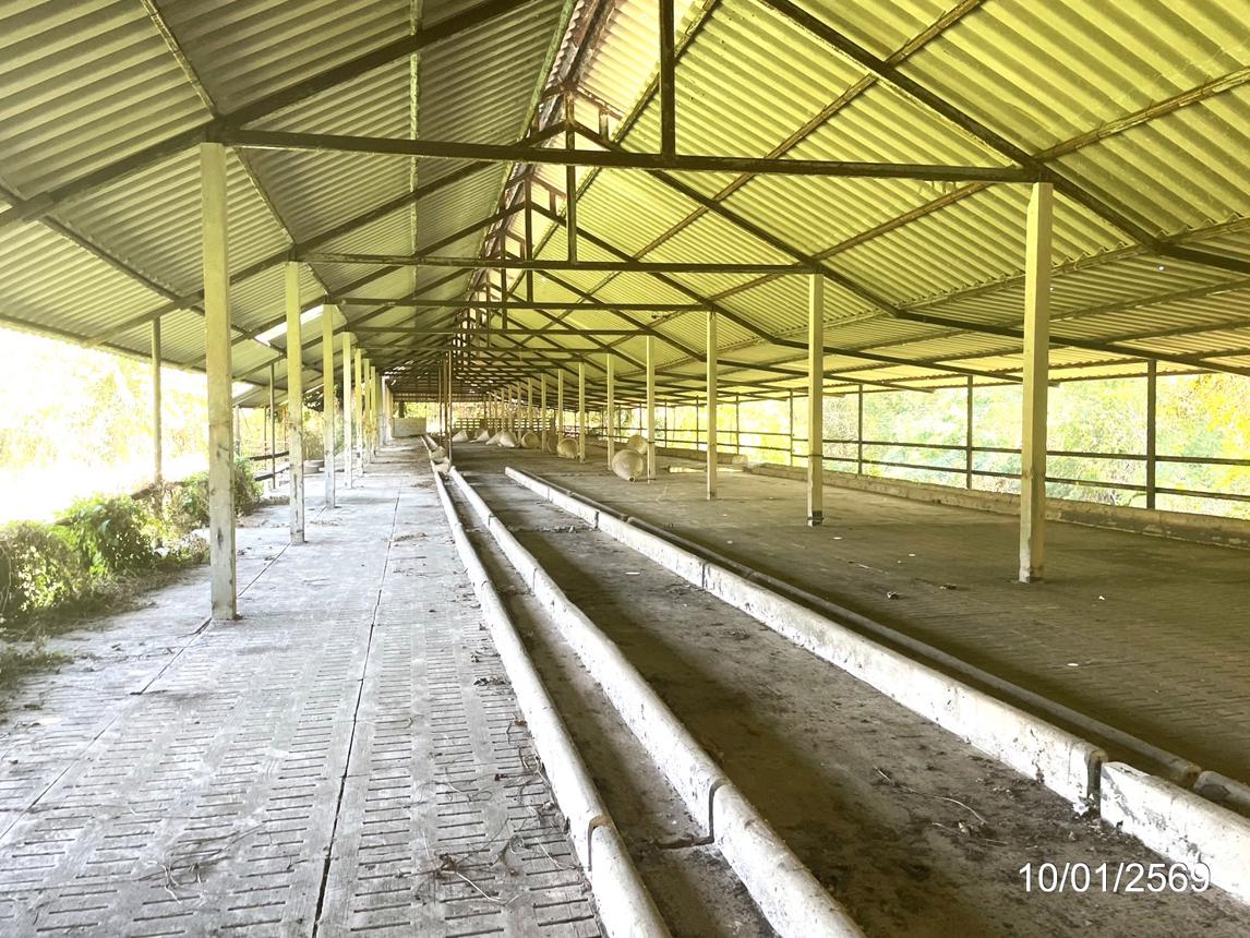 picture LAND 12644 Sq.w. Ko Chan Chonburi for 14.6M - 32/44