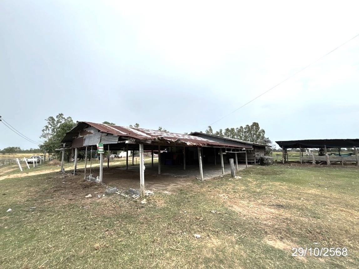 รูป บ้านเดี่ยว 1140 ตร.วา ชุมพลบุรี สุรินทร์ 1.8M - รูปที่ 18/34