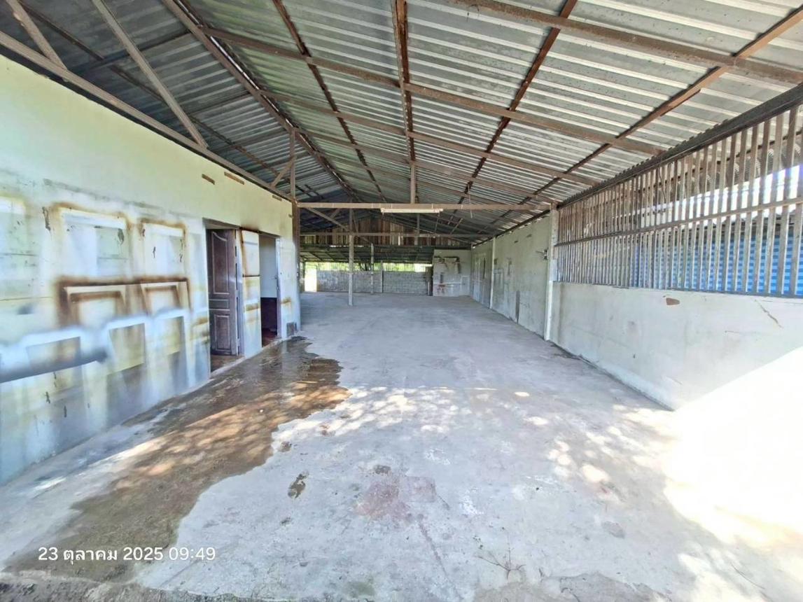 รูป บ้านเดี่ยว 105 ตร.วา แม่จัน เชียงราย 1.5M - รูปที่ 14/26