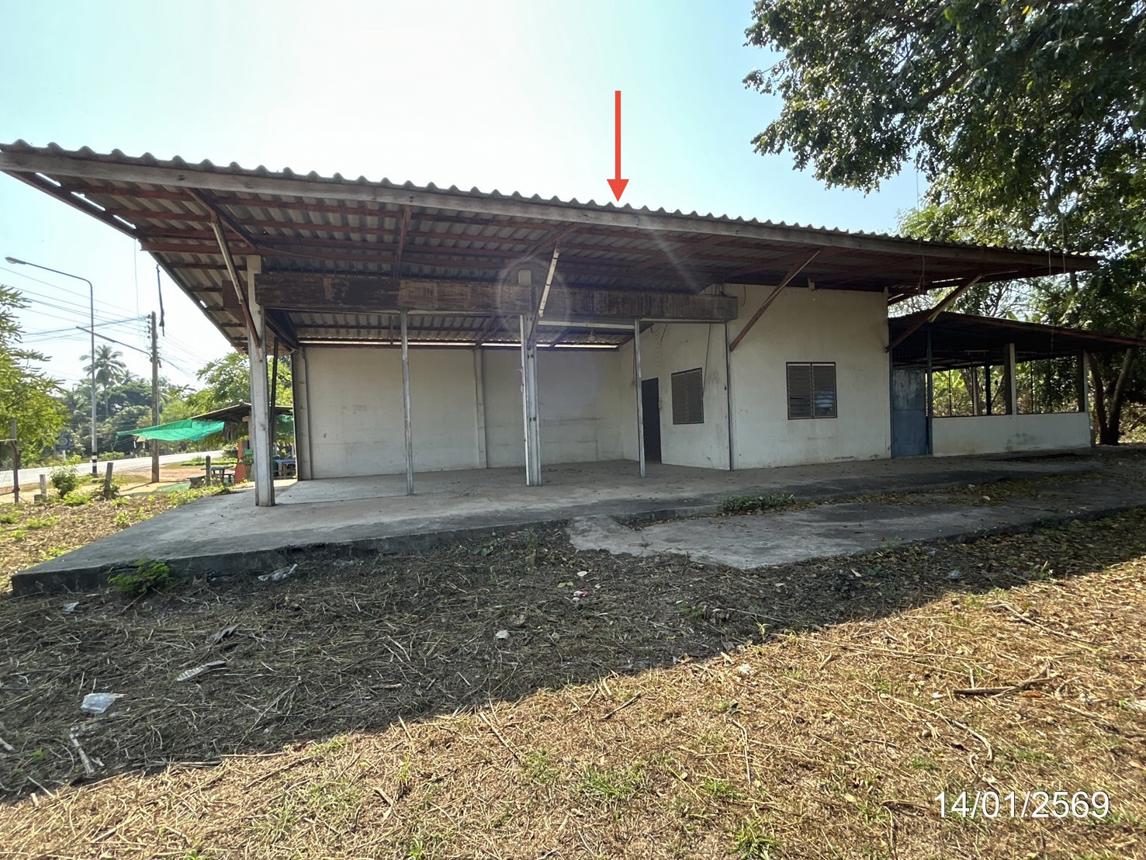 รูป บ้านเดี่ยว 2295.2 ตร.วา พรหมพิราม พิษณุโลก 2.9M - รูปที่ 21/40