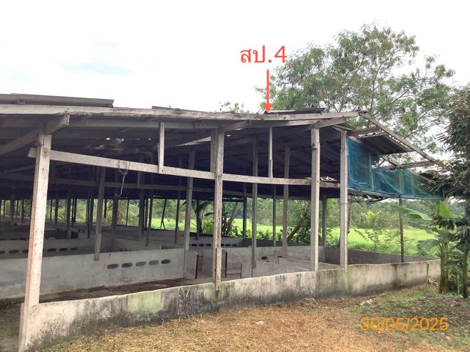 picture LAND 3649 Sq.w. Chalermphrakiet Nakhon Sri Thammarat for 9.9M - 13/38