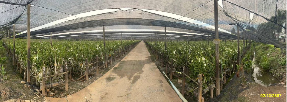 รูป ที่ดินพร้อมสิ่งปลูกสร้าง 28550 ตร.วา -,31 หมู่ที่ 15 อำเภอบางเลน นครปฐม 33.8M - รูปที่ 11/16