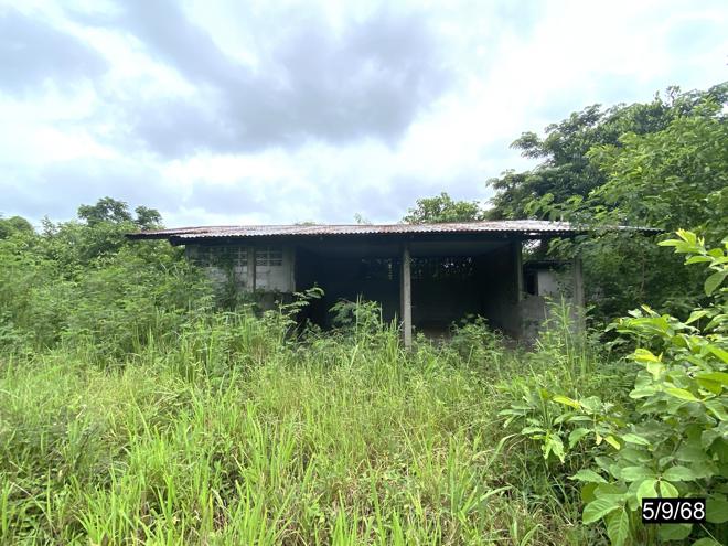 รูป บ้านเดี่ยว 1702 ตร.วา ชุมแพ ขอนแก่น 9M - รูปที่ 12/40