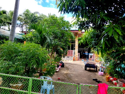 ที่ดิน เมืองชัยภูมิ ชัยภูมิ : ที่ดินพร้อมสิ่งปลูกสร้าง 85.9 ตร.วา อำเภอเมืองชัยภูมิ ชัยภูมิ 989,000