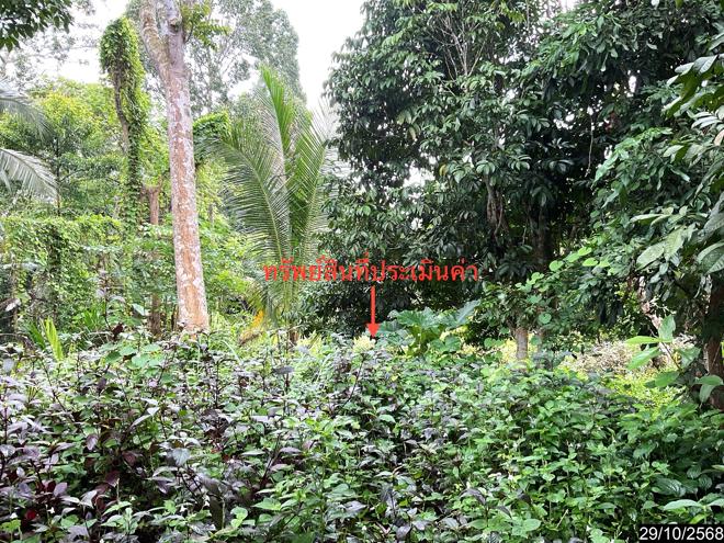 รูป เพิงอเนกประสงค์ 643 ตร.วา ทุ่งสง นครศรีธรรมราช 1.8M - รูปที่ 5/22