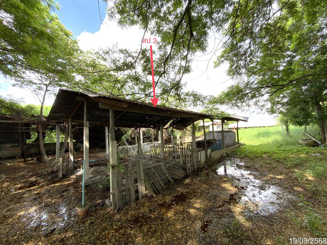 picture LAND 3345 Sq.w. Tha Wung Lopburi for 9.3M - 36/50