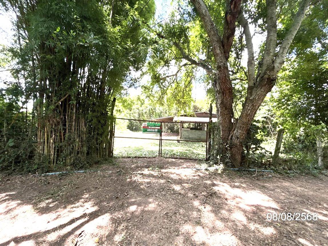 รูป บ้านเดี่ยว 623 ตร.วา ศรีณรงค์ สุรินทร์ 859,000 - รูปที่ 16/32